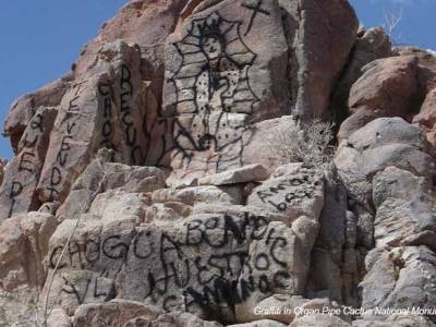 Leave No Trace!   